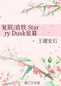 (BL/复联同人)复联/盾铁 Starry Dusk星暮