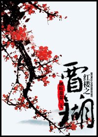 (红楼同人)红楼之贾瑚