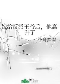 嫁给反派王爷后,他高升了