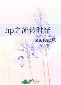 hp之流转时光