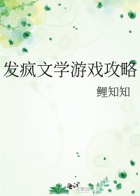 发疯文学游戏攻略